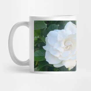 Gardenia flower Mug